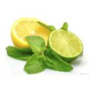 Fresh Lemon - Key Lime