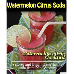 Watermelon Citrus Soda Premium