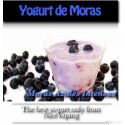 Yogurt Griego de Moras Premium